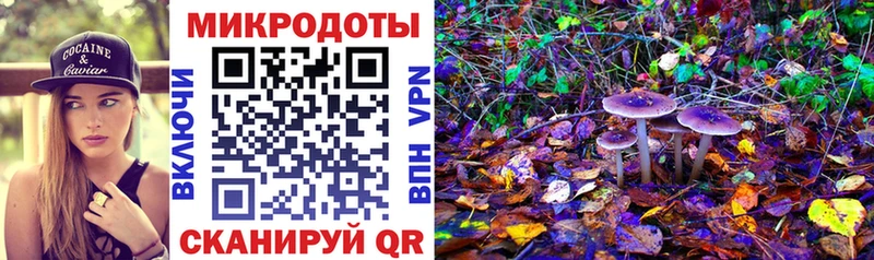 blacksprut ссылка  что такое наркотик  Сураж  Галлюциногенные грибы Psilocybine cubensis 
